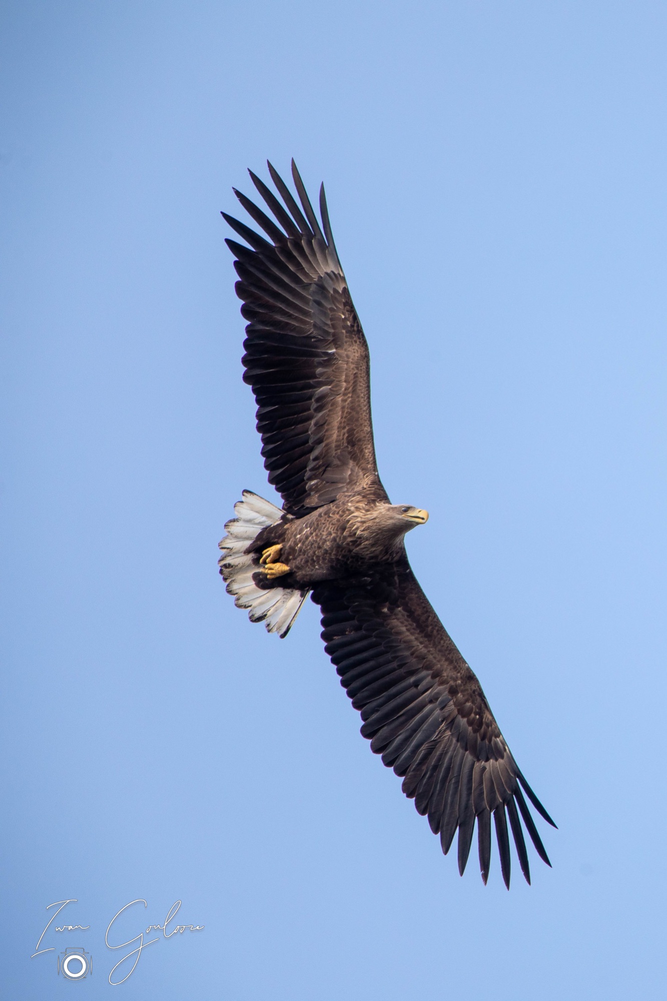 12 maart 2022 160704  5D44428